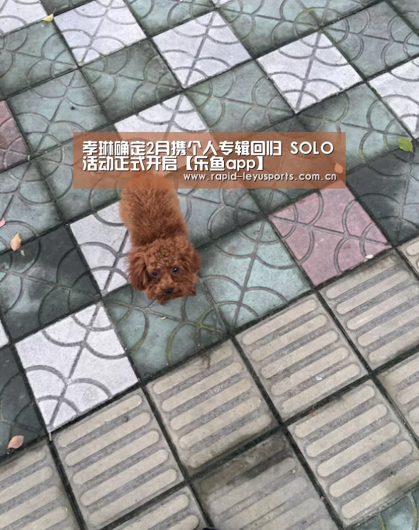 乐鱼体育官网网址