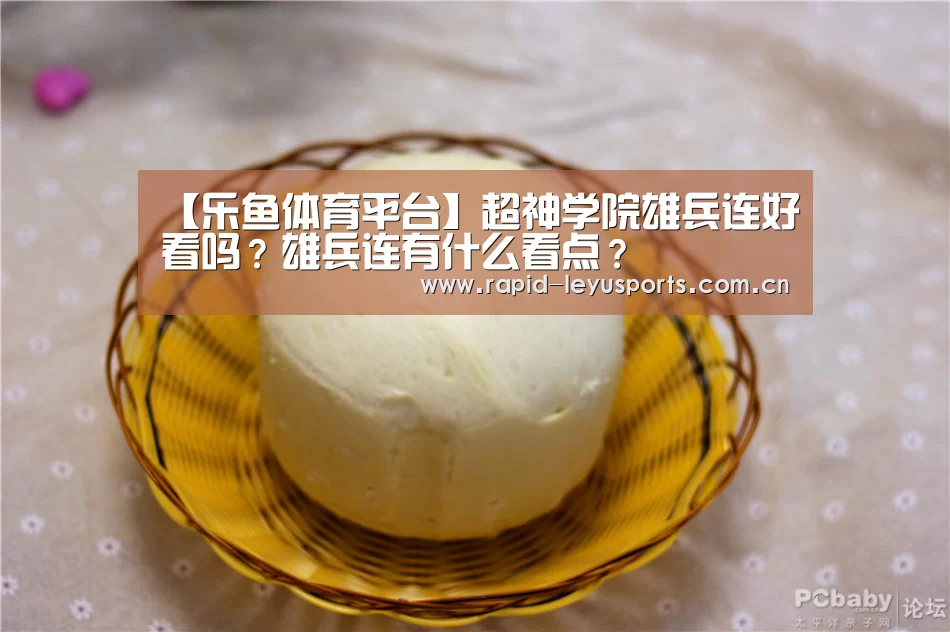 【乐鱼体育平台】超神学院雄兵连好看吗?雄兵连有什么看点?(图1) 乐鱼登录