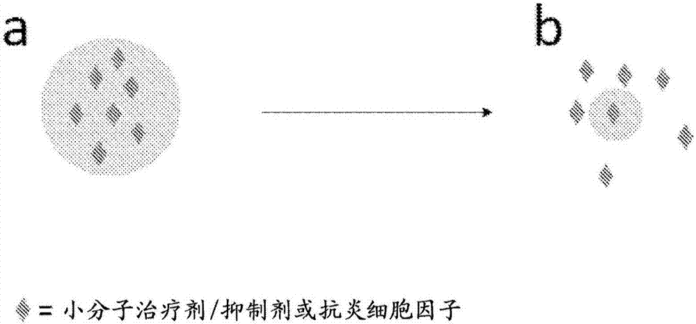 朱莉被曝用冰毒减肥 体力不支片场晕倒|乐鱼登录(图1) 乐鱼体育官网网址
