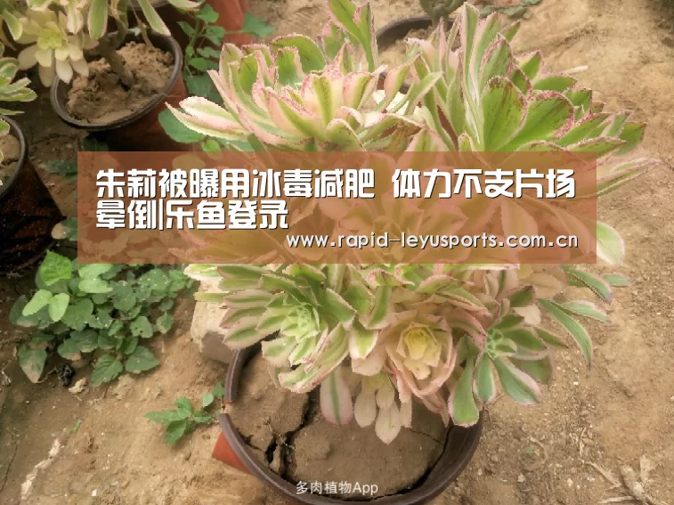 朱莉被曝用冰毒减肥 体力不支片场晕倒|乐鱼登录(图2) 乐鱼体育平台